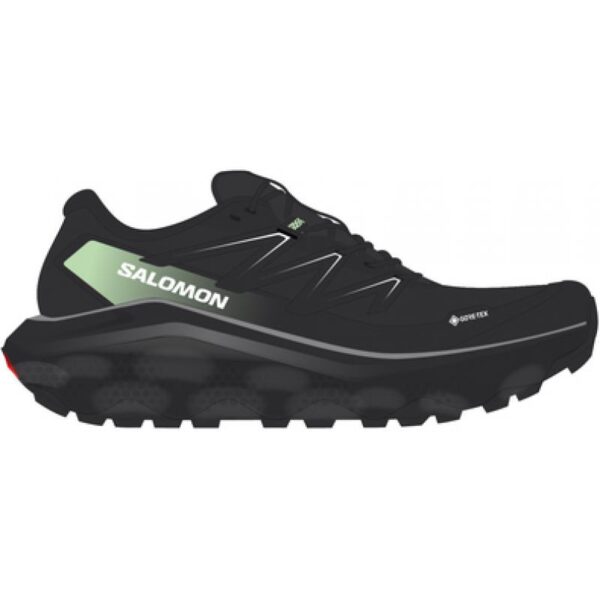 Salomon Salomon Ultra Flow 2 Gtx L47981400 E. Sørdahl 1