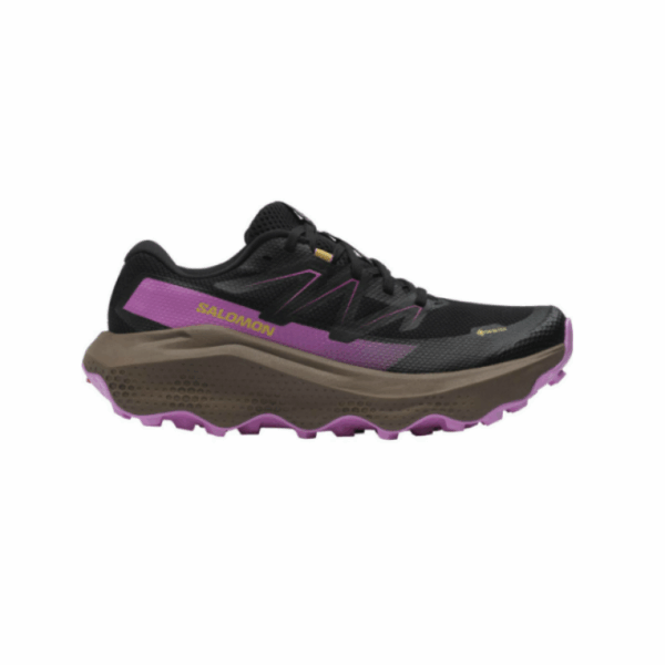 Salomon Salomon Ultra Flow 2 Gtx W L47884400 E. Sørdahl 1