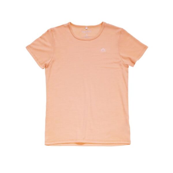 Devold Devold Active Tee Wmn GO 293 291 C Rauland Fjellsport 1
