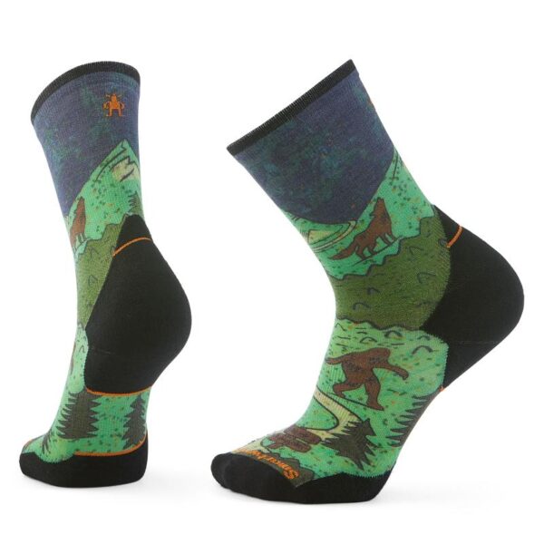 Smartwool Smartwool Trail Run Targeted Cushion Neature Print B02693 Rauland Fjellsport 1