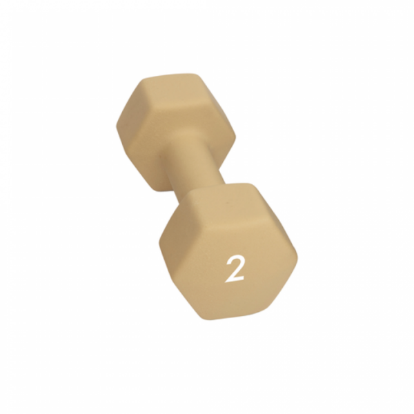 Abilica Abilica Dumbbell 2 Kg 374276 Rauland Fjellsport 1