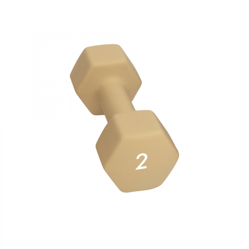 Abilica Abilica Dumbbell 2 Kg 374276 Rauland Fjellsport 1