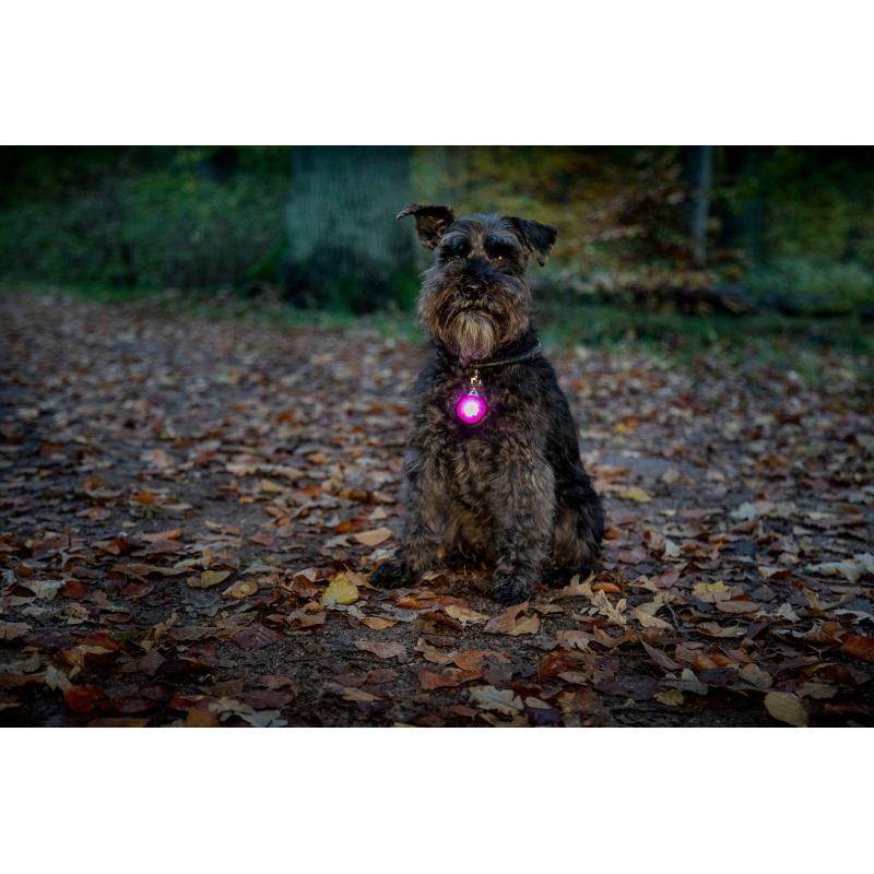 DOGMAN Dogman Burger Blinker - Bilde 2